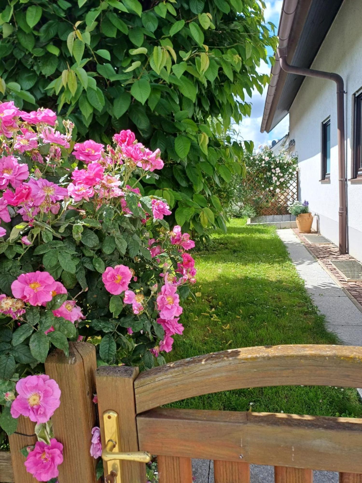 Ferienwohnung Unter Dem Sonnberg เอาก์เกน ภายนอก รูปภาพ